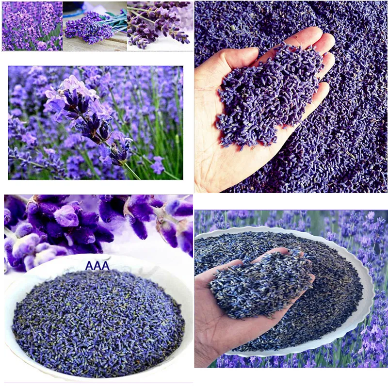 Flores Secas Semillas Lavanda Natural Flores Secas Grano A Granel De Lavanda  Llenado De Grano 1 Onzas Real Natural Duradera Lavanda De 21,45 €