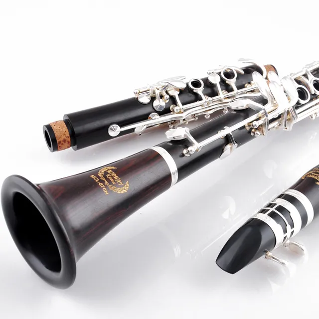 Clarinetto in legno di ebano di marca cinese Bb Riproduzione professionale di musica Strumento a fiato clarinetto in ebano importato con custodia Spedizione gratuita