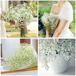 Künstliche Blumen Gypsophila Dekorative gefälschte Seidenblumen Weiße Gypsophila Brautstrauß Hochzeitsdekoration Blume 10 Stück Großhandel