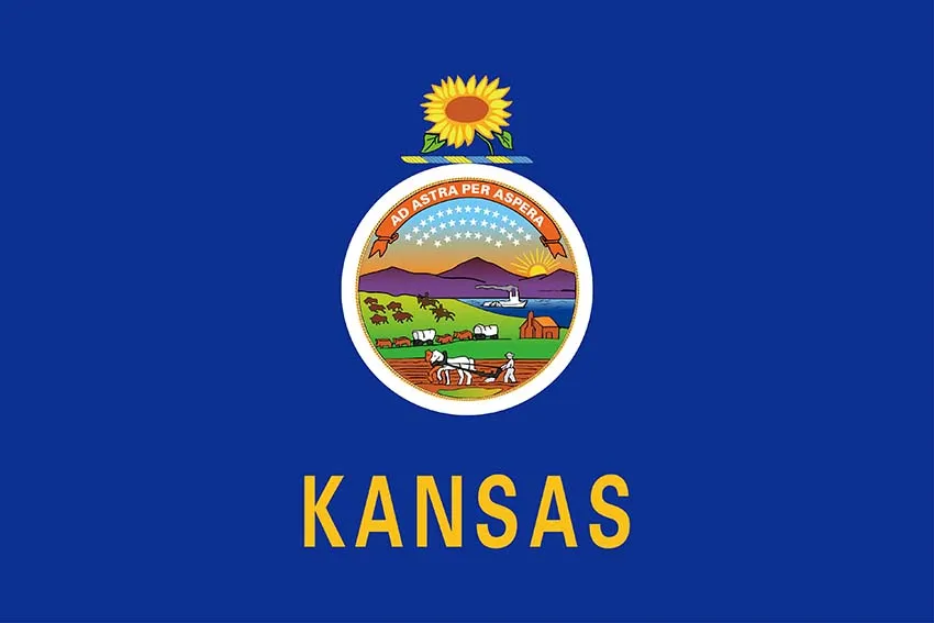 3X5FT drapeau de l'état du Kansas maison bannière cadeaux américain états-unis intérieur extérieur drapeau bannière