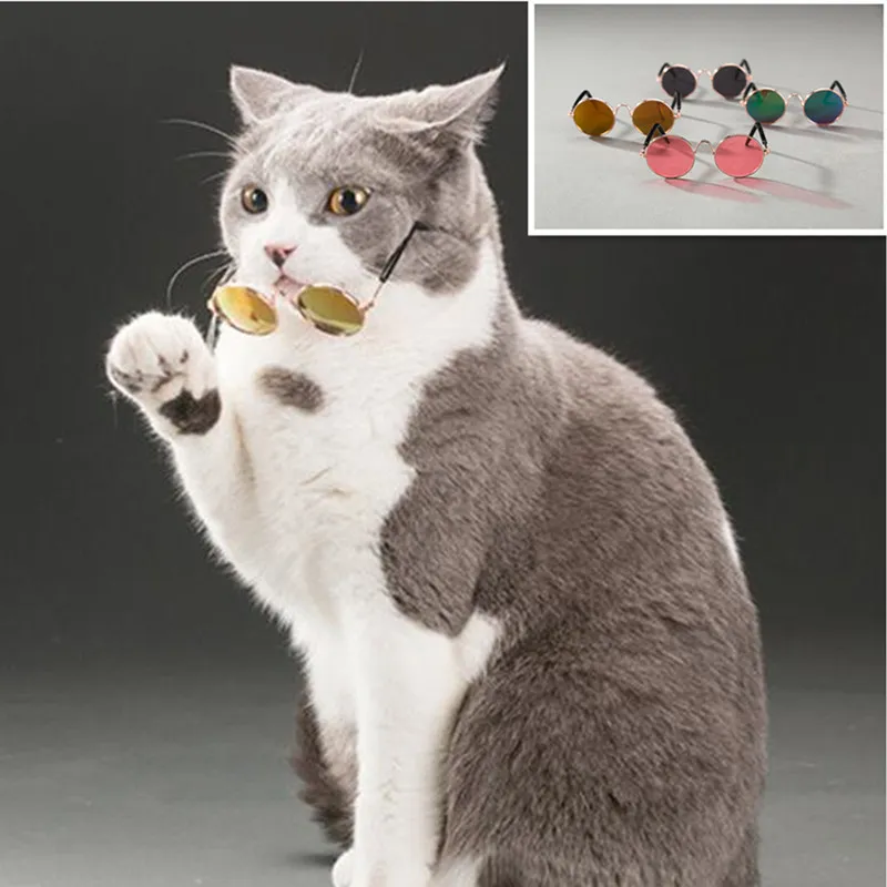 Fashion Glasses Small Pet Dogs Cat Glasses Sunglasses Eye Protection Pet Cool Glasses Pet Photos Props Cat Sunglasses