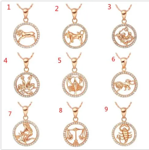 Zeldzaam 12 Zodiac Aries Taurus Gemini Kanker Leo Virgo Libra Scorpius Boogschutter Capricornus Aquarius Vissen Pisces Hanger Gouden Ketting ChKN1047