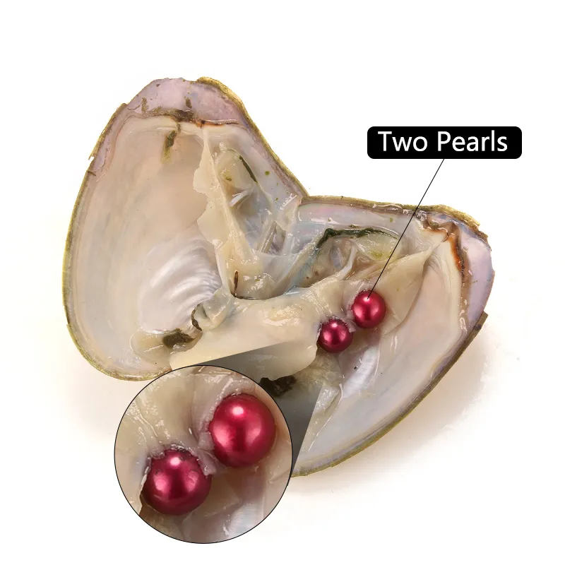 Neue DIY 7-8mm Frischwasser Akoya Auster mit Zwillingen Perle gemischt 27 Farben Top-Qualitätskreis Natürliche Perle im Vakuumpaket für Geschenküberraschung