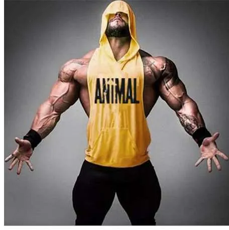 Animal gym hoodie hotsell