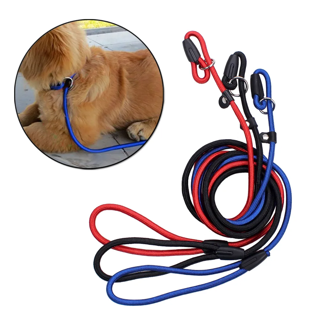 كلب نايلون قابل للتعديل طوق التدريب حلقة الانزلاق حبل المقود الرصاص صغير الحجم أحمر أزرق أسود اللون
