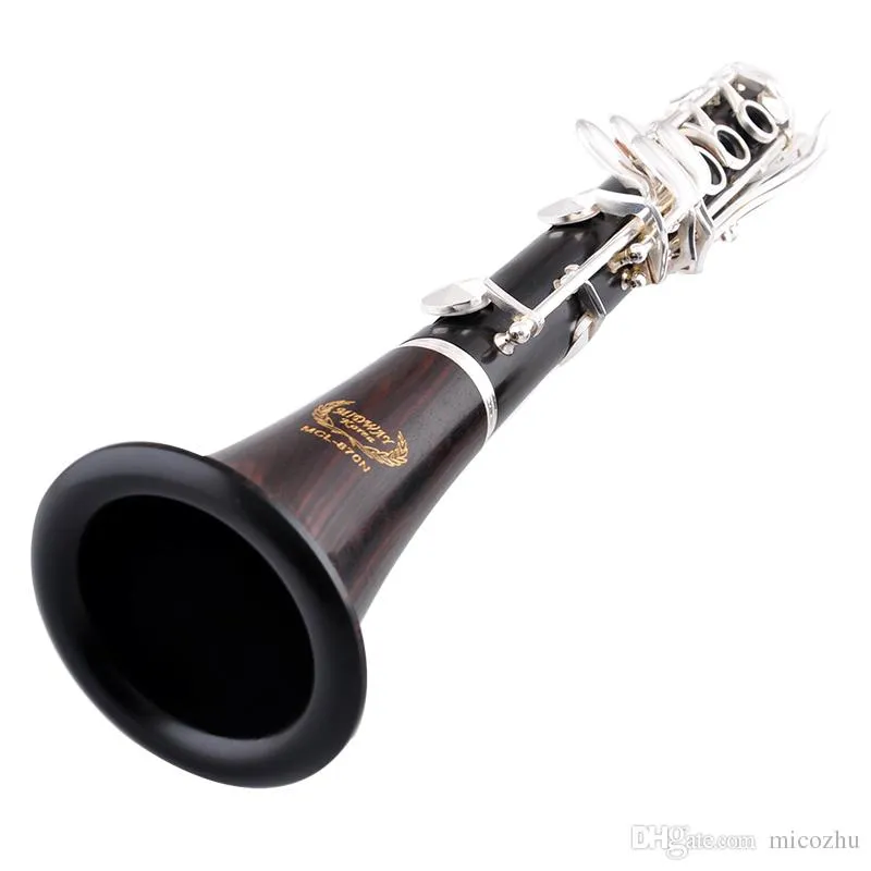 Clarinetto in legno di ebano di marca cinese Bb Riproduzione professionale di musica Strumento a fiato clarinetto in ebano importato con custodia Spedizione gratuita