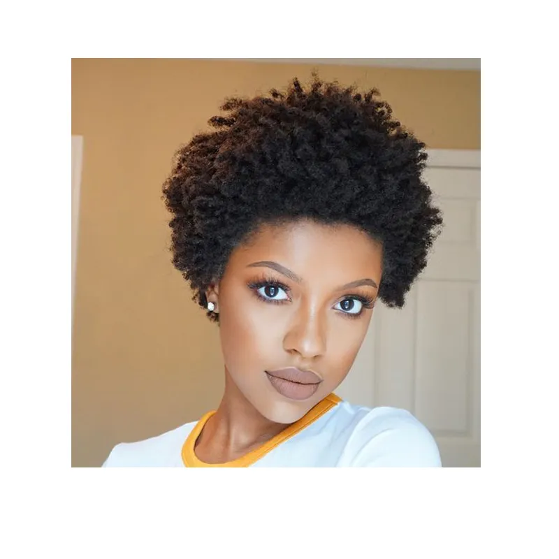 NEW Simulation Human Hair Short Cut Kinky Curly Wig African Ameri ...