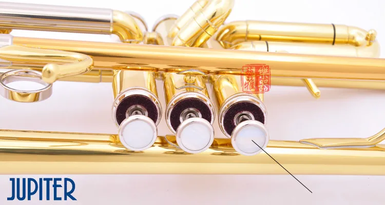 Jupiter JTR-408 Profesjonalny BB Trumpet Brass Gold Lacquer Trumpet Wykonaj instrumenty z przypadkiem i ustnik Darmowa wysyłka