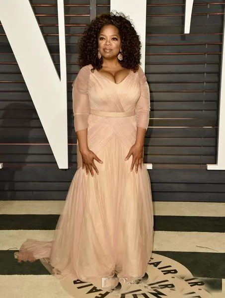 Plus Size Nude Sheath Mother of the Bride Dresses 23 Long Sleeves Pleats Oprah Winfrey Oscar Evening Gowns5457755