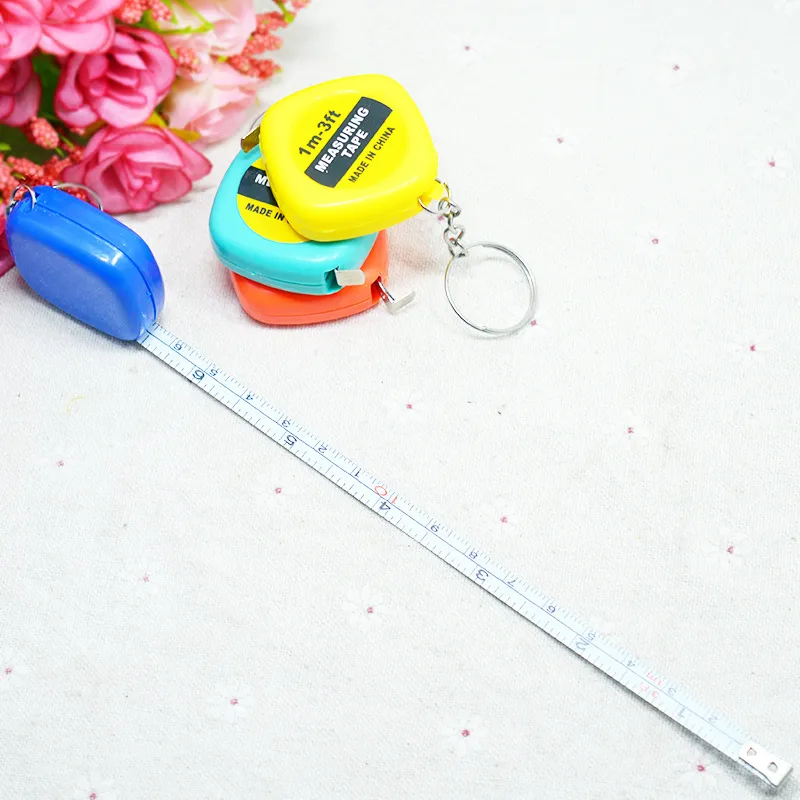 1 meters long mini portable key chain, small tape, small steel plastic ruler.