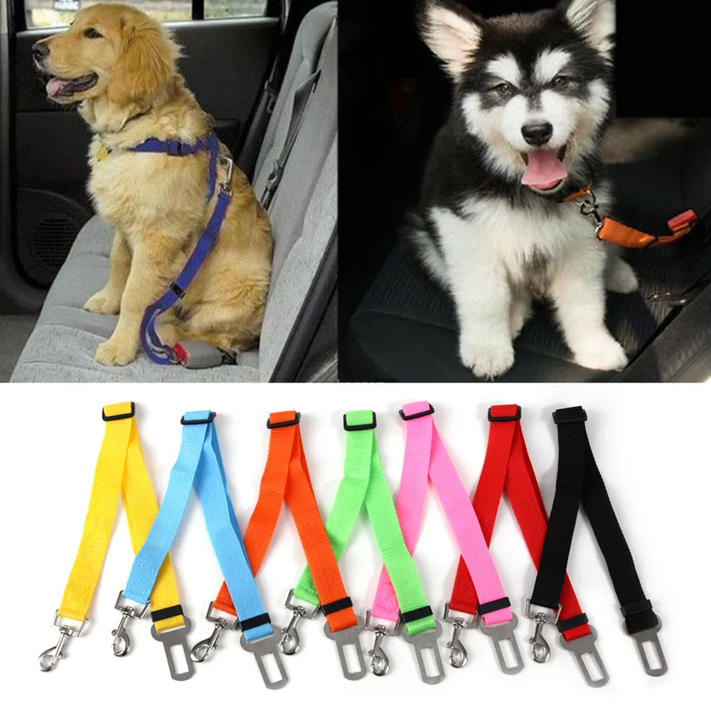  Perro de mascota cinturón de seguridad asiento ajustable de  coche harnesh correa viaje de retención Clip, Azul : Productos para Animales