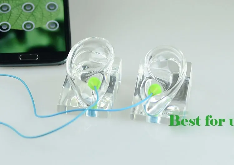 Gratis frakt! Modig Clear Earphone Mannequin Ear Mannequin Öronmodell för hörlurar Display Hot Sale