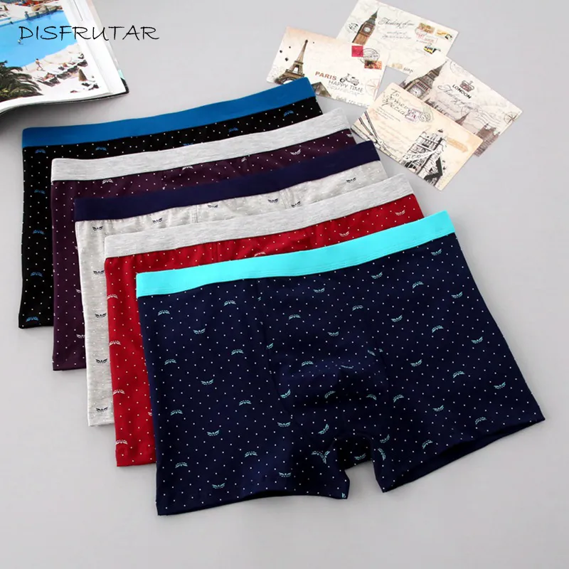 2019 남성 속옷 5 PCS / LOT 남성 속옷 복서 반바지 짧은면 큐크 복서 남자 단단한 underpants 복서 xl-7xl