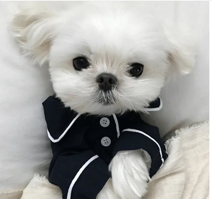 Summer French dog pajamas Pomeranian bear bullfighting small dog Teddy pet clothes shirt Feel Comfortable When Touched