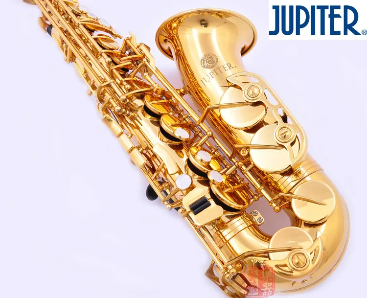 Eb Tune Sassofono contralto JUPITER JAS-567 Strumento musicale professionale E-flat di alta qualità Sax studenti Sax in oro con custodia