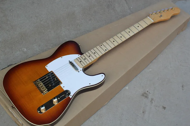 Bruine elektrische gitaar met esdoornhals, witte binding, Tiger Maple fineer, gouden hardware, biedt service op maat
