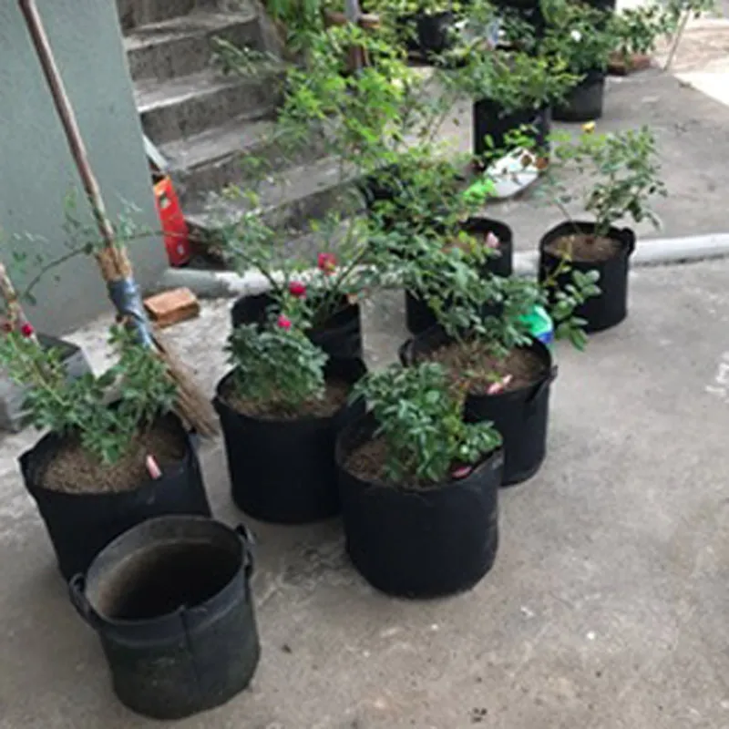 Plant Grow Väskor icke-vävda blommgrönsaker Växtluftning Tyg Planterare Rotkrukor Puch med remhandtag för Nursery Garden Container