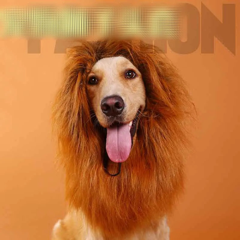 4 Farbe Haarschmuck Haustier Kostüm Katze Halloween Kleidung Fancy Dress Up Lion Mähne Perücke für große Hunde braun, dunkelbraun, weiß, schwarz B