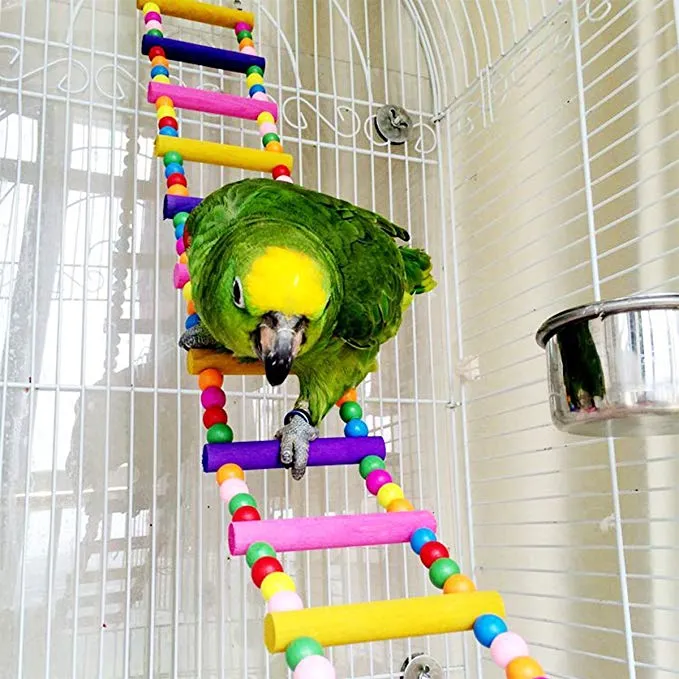 ملون سلم ببغاء الببغاء اللطيف ألعاب الطيور إكسسوارات القفص ل cockatiel conure ببغاء صغير macaw 80cm