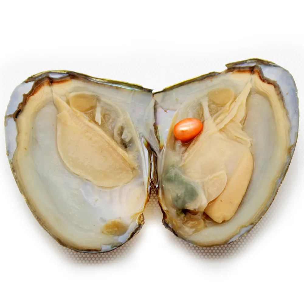 Descubra ostras de pérolas ovais de água doce naturais no atacado, pérola # 2 laranja, um total de 3 cores naturais e 18 tingimentos artificiais