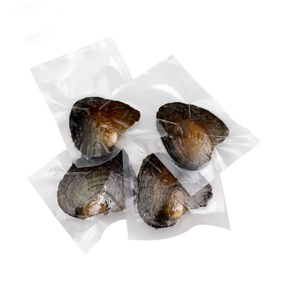 2018 New Love Wish Pearl Oyster Süßwasser-Auster Kreuzform Pearl Oyster Luxus-Schmuck One Oysters With One Pearls In Vacuum-Packed