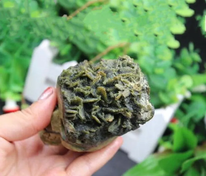 Vendita calda 300 grammi di quarzo naturale tormaline verdi cranio campione di cristallo verde guarigione del cranio la decorazione