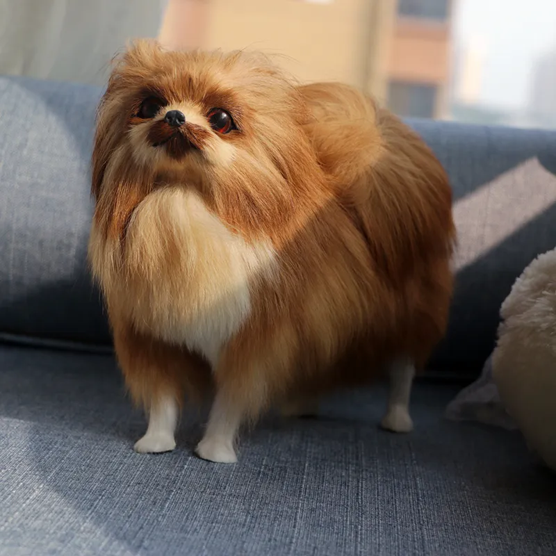 Dorimytrader gerçekçi hayvan pomeranian köpek peluş oyuncak dolması yumuşak benzetilmiş köpek pet köpekler el sanatları dekorasyon hediye 22x19 cm