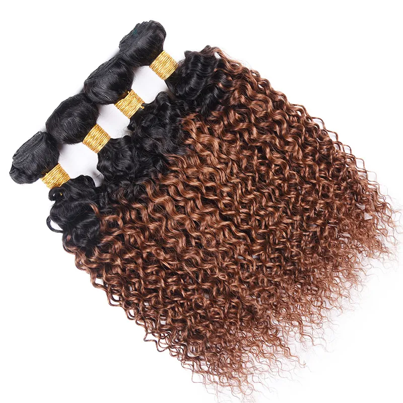 Kinky Curly 1B30 HUND HAIR WEAVE 컬러 Malaysian Brazilian Peruvian Virgin Human Hair Bundles Ombre Auburn l5580506