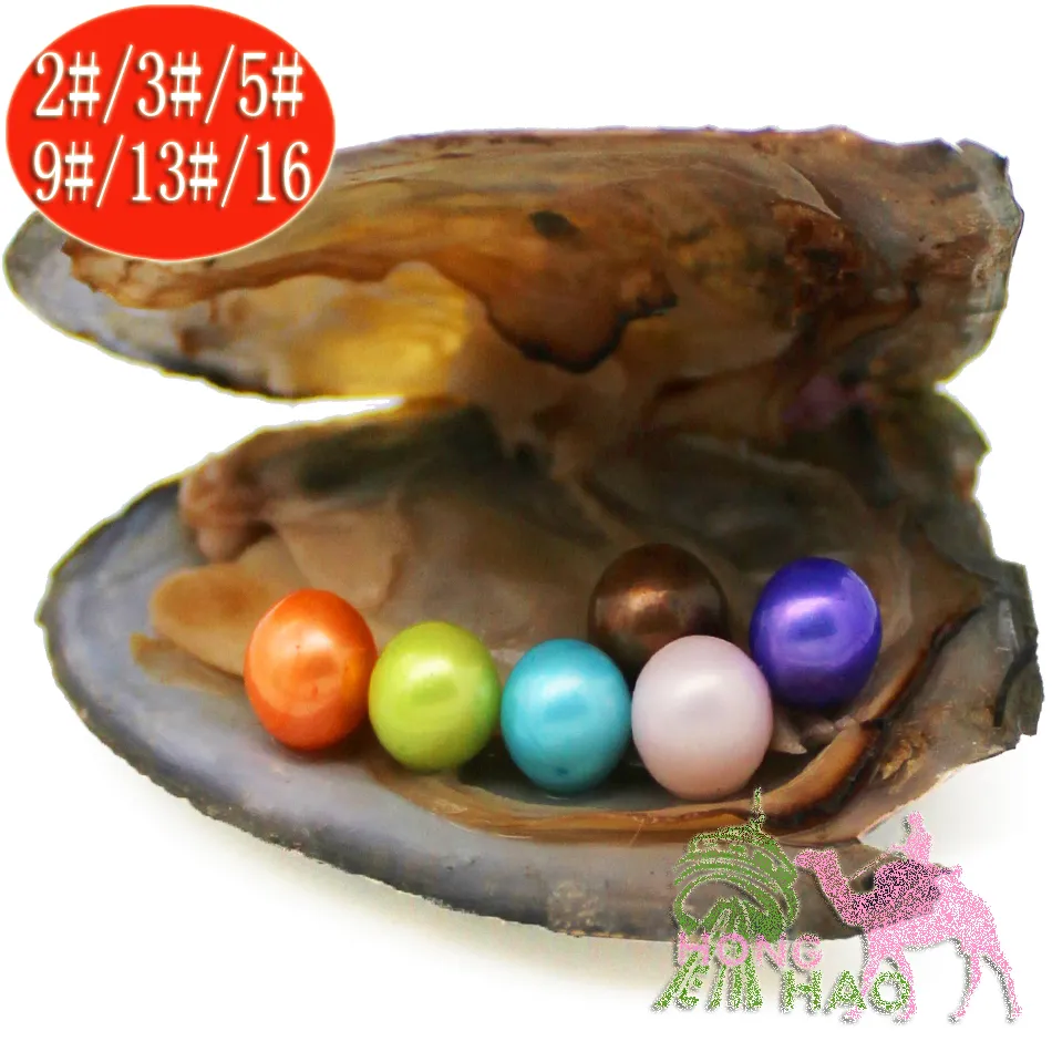 Mussel Shell Freshwater Oyster 6-7mm Natural Real Wish Pearl Pärlor 6st Pearl av olika färger gjorda i Oyster Shell Smycken