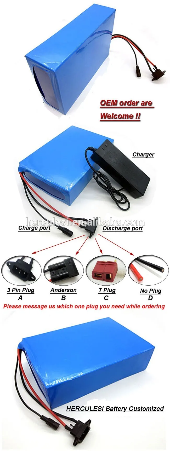 48v 25ah lithium ion battery.jpg