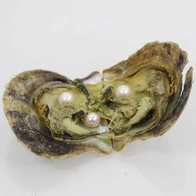 30 Prozent Mix 25 Farben Tripletts Perlen Individuelle Vakuumpaket 6-7 mm Salzwasser rund Akoya Perlen Auster
