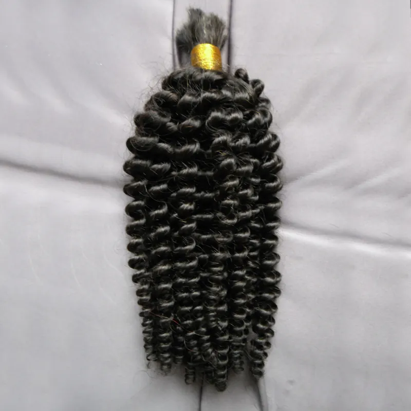 ブラジルの編組ヘアエクステンション100g braiding編組のための人間の髪の毛の髪の毛がかさばる人間の髪の卸売