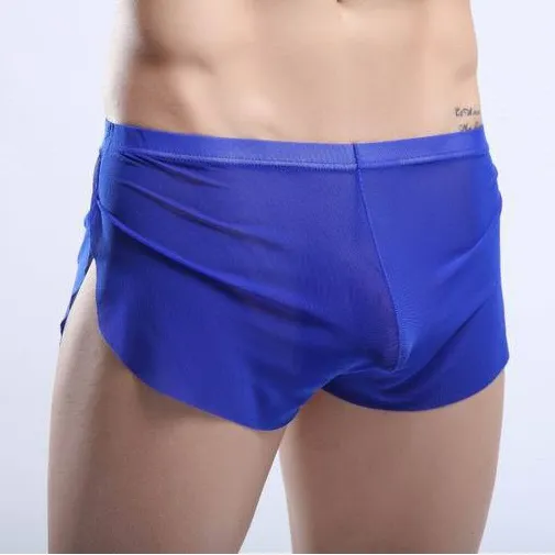 Transparent Mesh Boxers – Queer In The World: The Shop