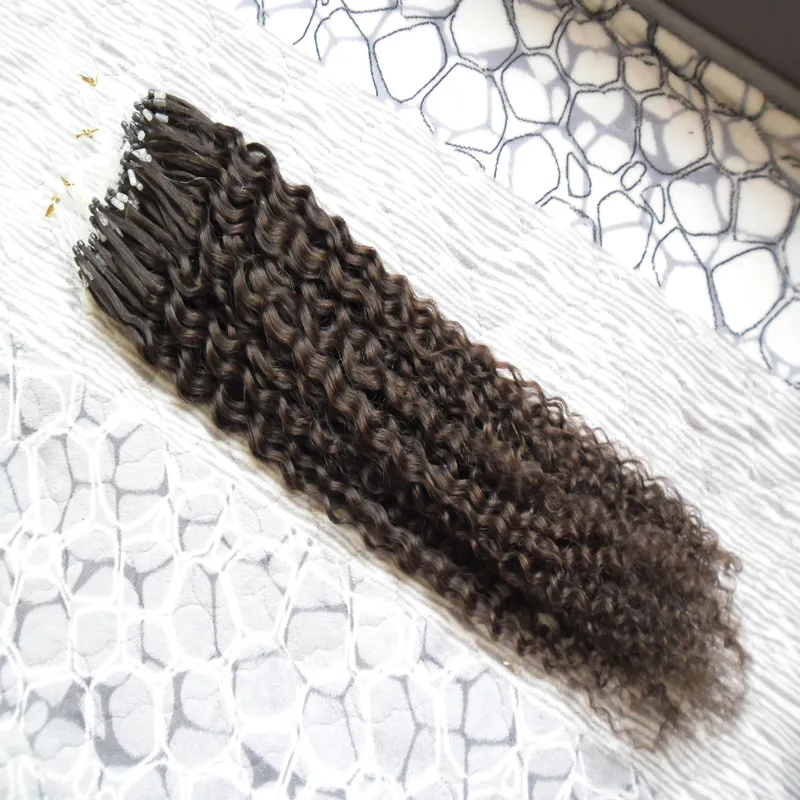 Extensions de cheveux humains crépus bouclés Micro boucle anneau Extensions de cheveux 100g 1 g/s 100s Remy Micro perle Extensions de cheveux brun le plus foncé