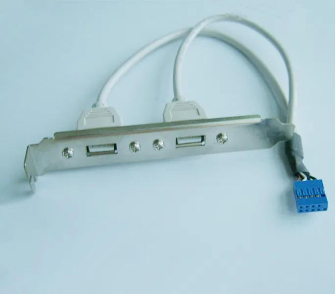 Alta velocidad 30 cm/1FT 2 puerto dual USB A hembra A adaptador de cabezal interno de 9 pines Cable de placa base PCB para placa base de PC 1 pieza