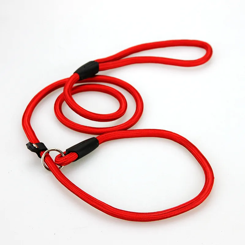 PET Dog Nylon Rope Rope Training Leash Slip Lead Strap Traction Twice Twible Pet Animals Rope Supplies Exclseories 0.6*130cm WX9-656