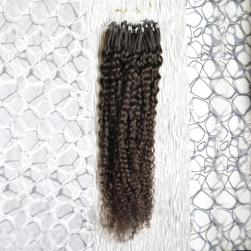 Mänskliga hårförlängningar Kinky Curly Micro Loop Ring Hårförlängningar 100g 1g / s 100s Remy Micro Bead Hair Extensions Darkest Brown