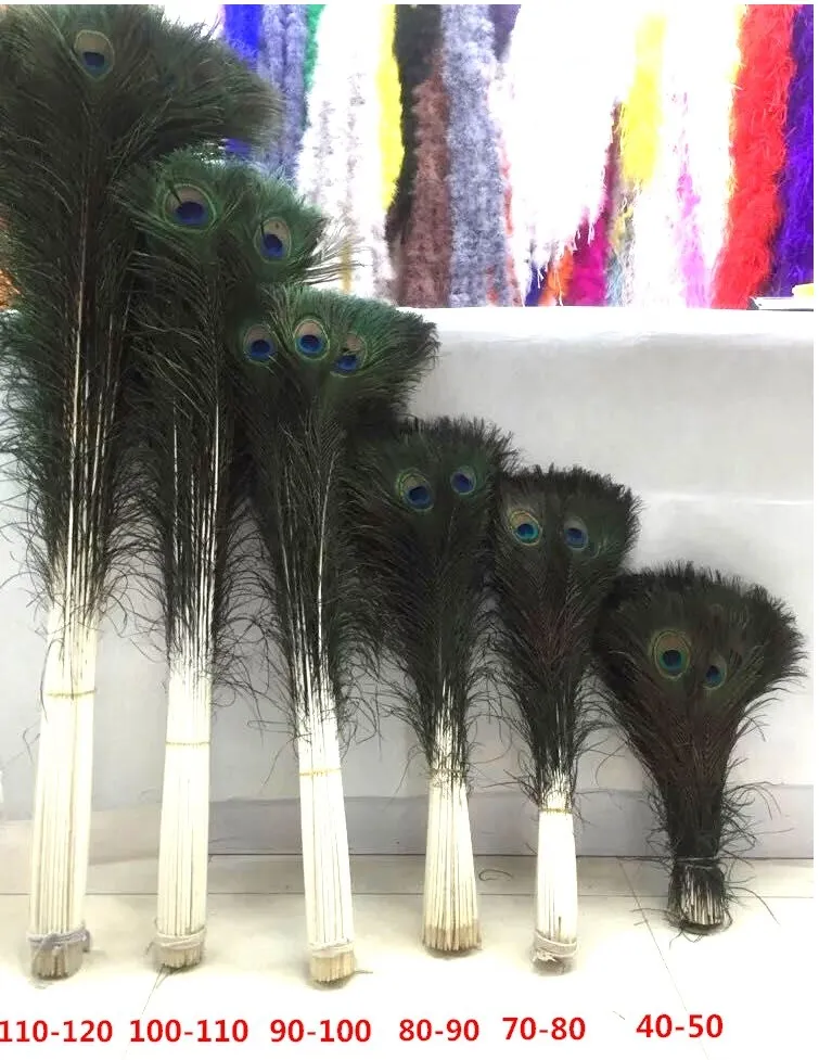 10~100PCS Natural Real Peacock Tail Eye Feathers Feather House Ornamen DIY  Decor