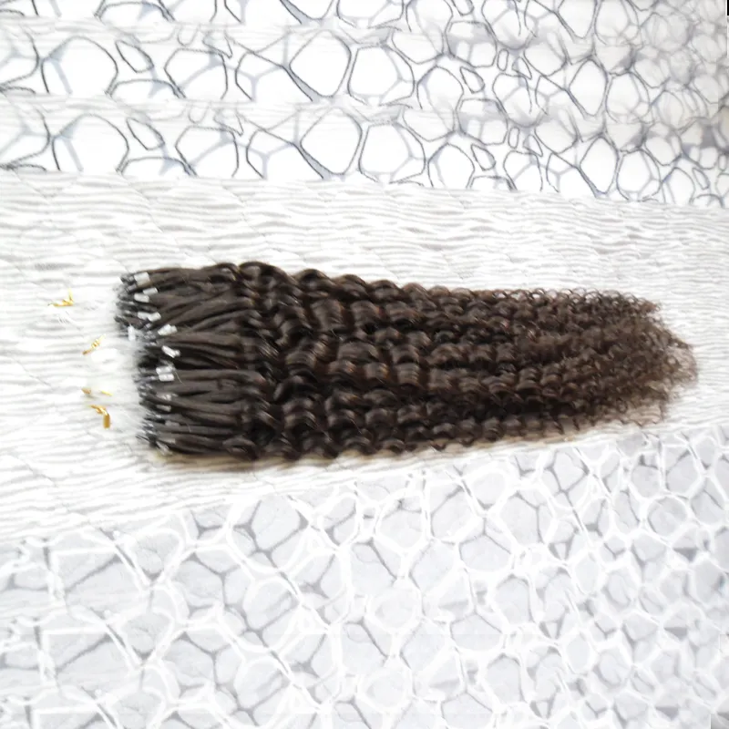 Extensions de cheveux humains crépus bouclés Micro boucle anneau Extensions de cheveux 100g 1 g/s 100s Remy Micro perle Extensions de cheveux brun le plus foncé