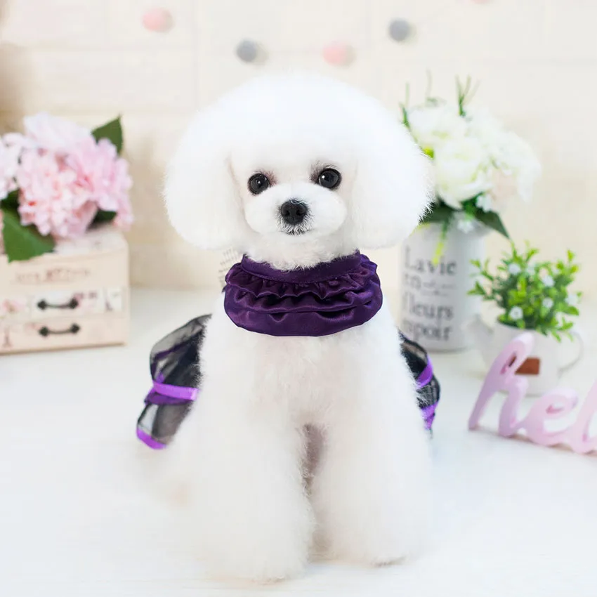 white christmas dresses Starry Night Dog Dress main image 0