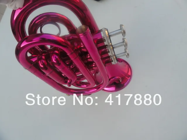 Tromba Pocket Rose Red Bb che cade B Tune Tromba strumento musicale studenti con custodia Spedizione gratuita