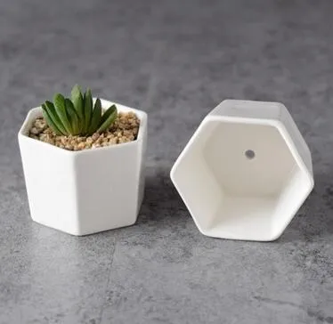 Vaso ciotola per Piante e Bonsai in ceramica bianco diam. cm. 20 | Leroy Merlin