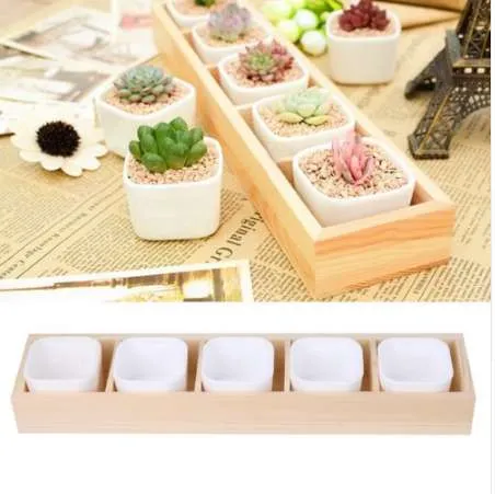 Modern Square Succulent Plant Pot Decorative Fleshy... From Planters,  $366.43 | DHgate.Com