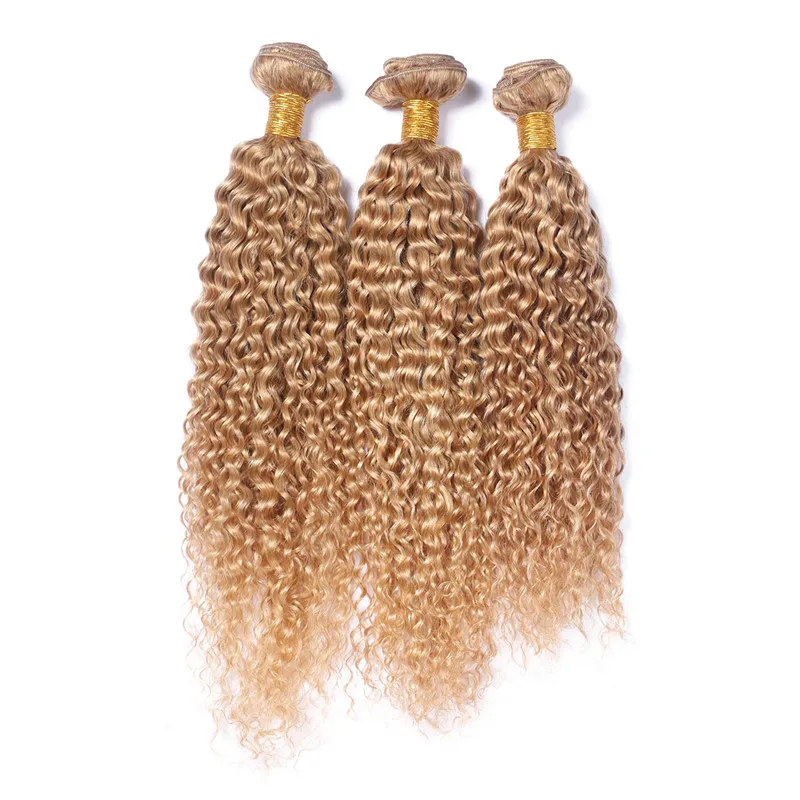 Honey Blonde Kinky Curly Hair Extension # 27 Jordgubb Blondin Afro Kinky Human Hair Weaves 3pcs / Lot Fast Shipping