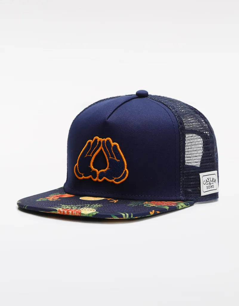 Hat de alta qualidade de alta qualidade Fashion Hip Hop Brand Man Mulher Mesh Snapbacks Navy MC CS WL BK FRUITS CURCHENER CAP291M