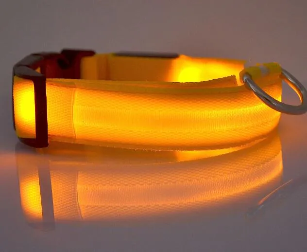 Gato de estimação Cão Brilho LED Collar Flashing Light Up Nylon Colares de Segurança Noite Fornece Trelas Para Cachorros USB Versão Carga