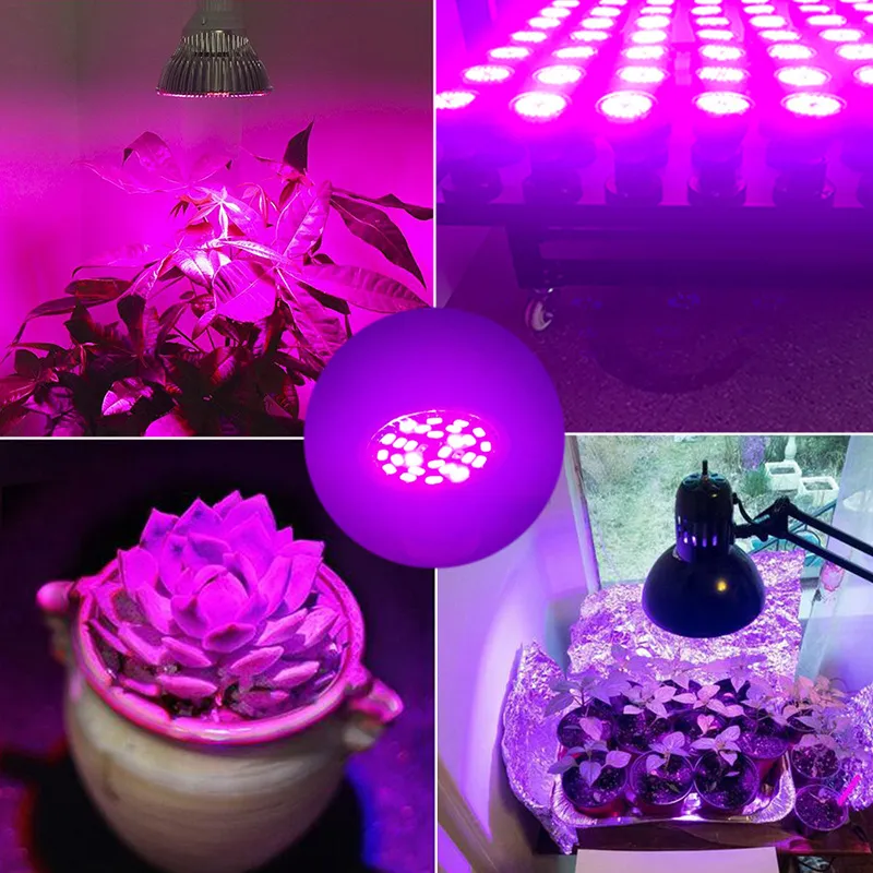 Nieuwe 28W E27 GU10 E14 LED Grow Bulb Light 28 LED's SMD 5730 LED Grow Light Hydroponic Plant Full Spectrum Lamp AC 85-265V