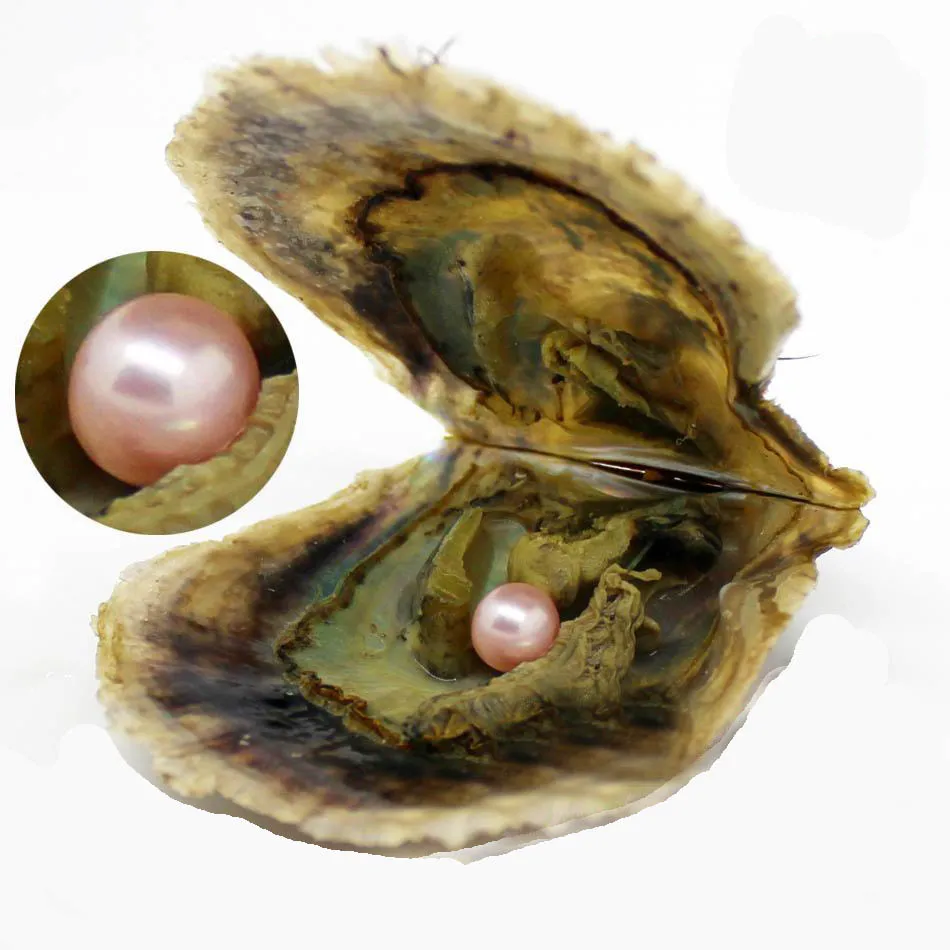 2018 NYHET 6-7mm Round Variety Good of Color Seawater Pearl Oysters Individuellt Vacuum Pack Fashion Trend Gift Surprise Shell
