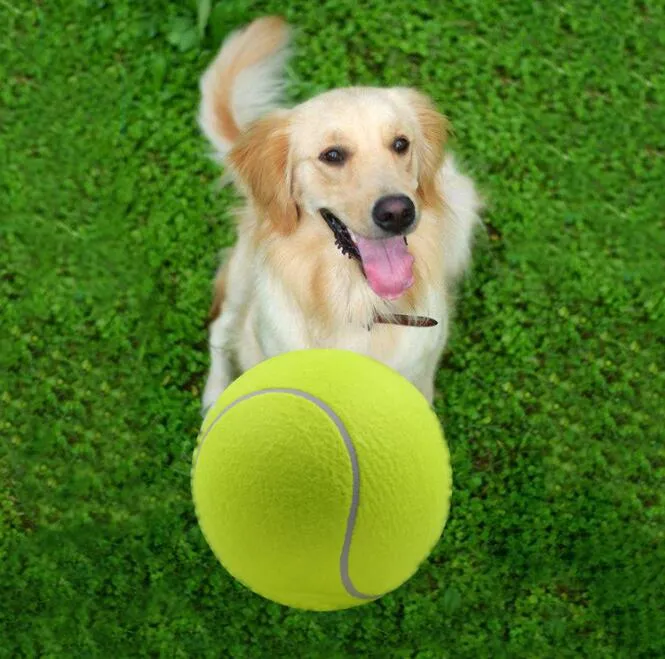 24CM großes Tennisballspielzeug-Haustierhundebett aufblasbare Tennis-Ball kaut Spielzeug 9.5inch riesiges Haustier-Spielzeug-Mega- Jumbo scherzt Spielzeug-Bälle im Freien