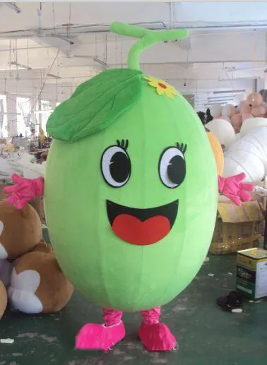 2018 vente chaude EVA Matériel melon Doux Costume De Mascotte De Fruits Bande Dessinée Vêtements Halloween fête d'anniversaire